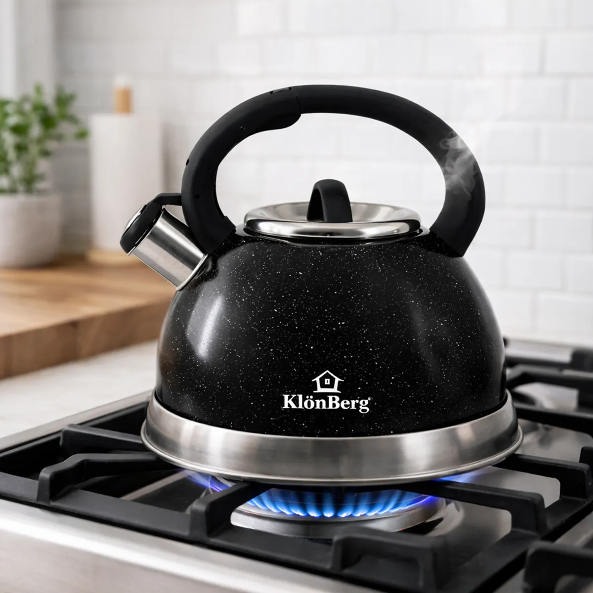 Whistling Tea Kettle 3L Stainless Steel Induction Black