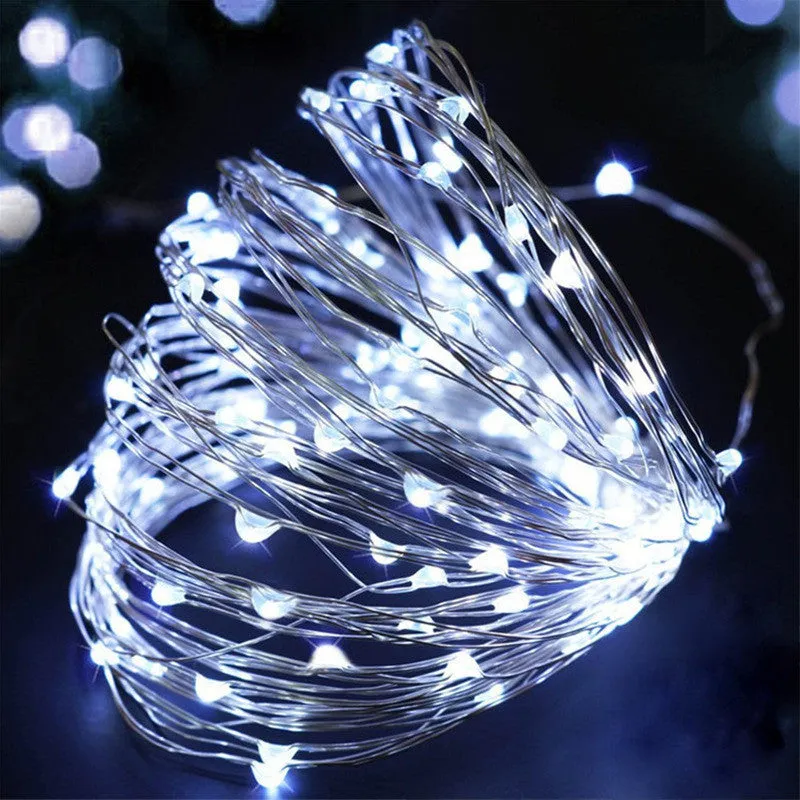 Christmas Copper Line 2 Meters XMAS 200 W-2 With F KDM0051