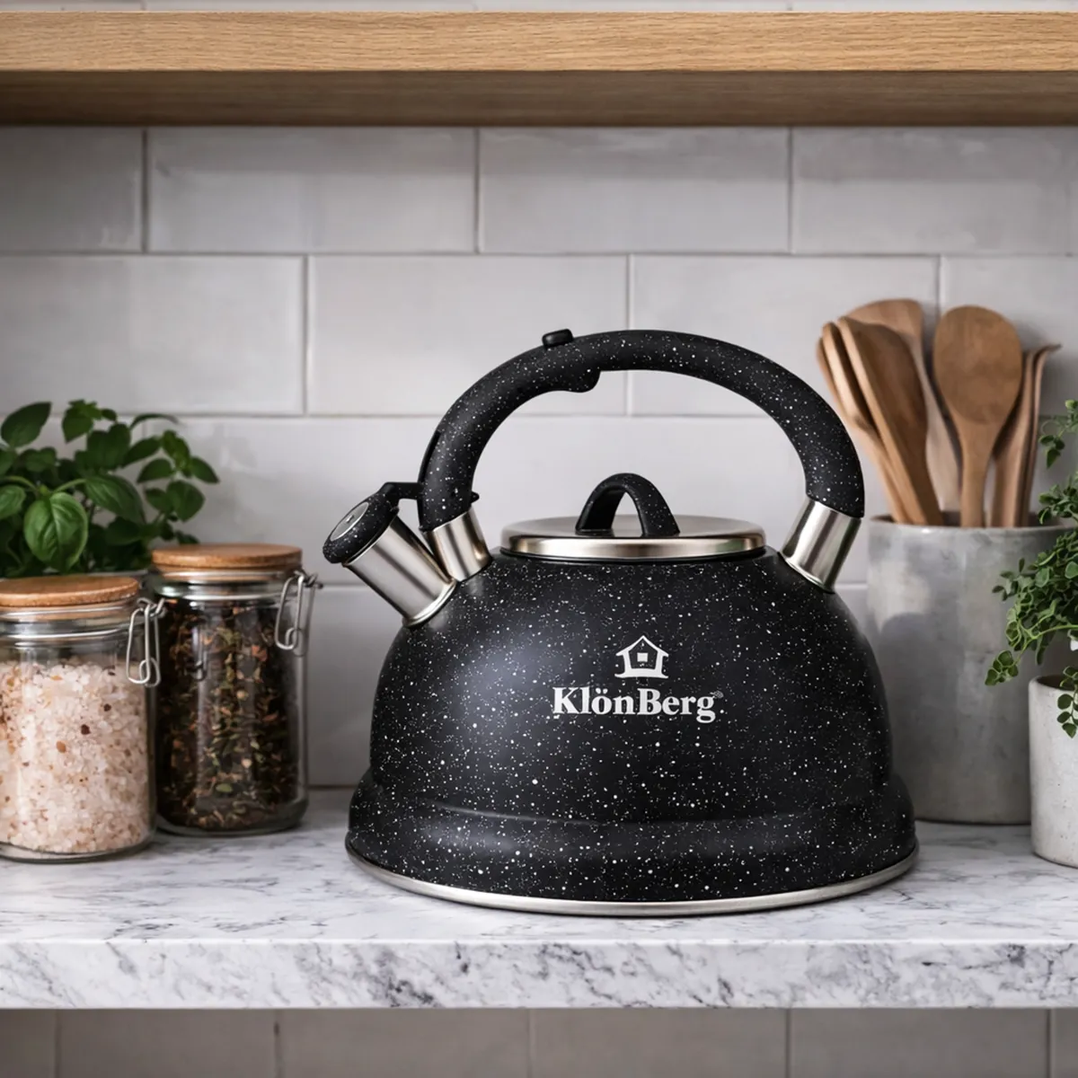 Whistling Kettle 3L Stainless Steel Gas and Induction Black KB-6647