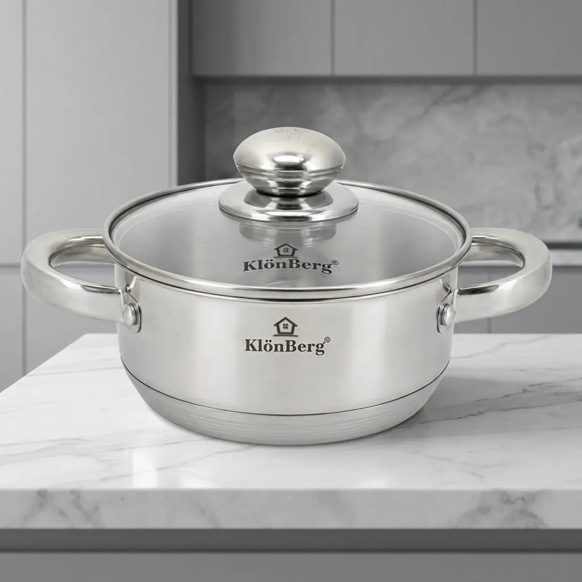 1L Stainless Steel Cooking Pot with Glass Lid